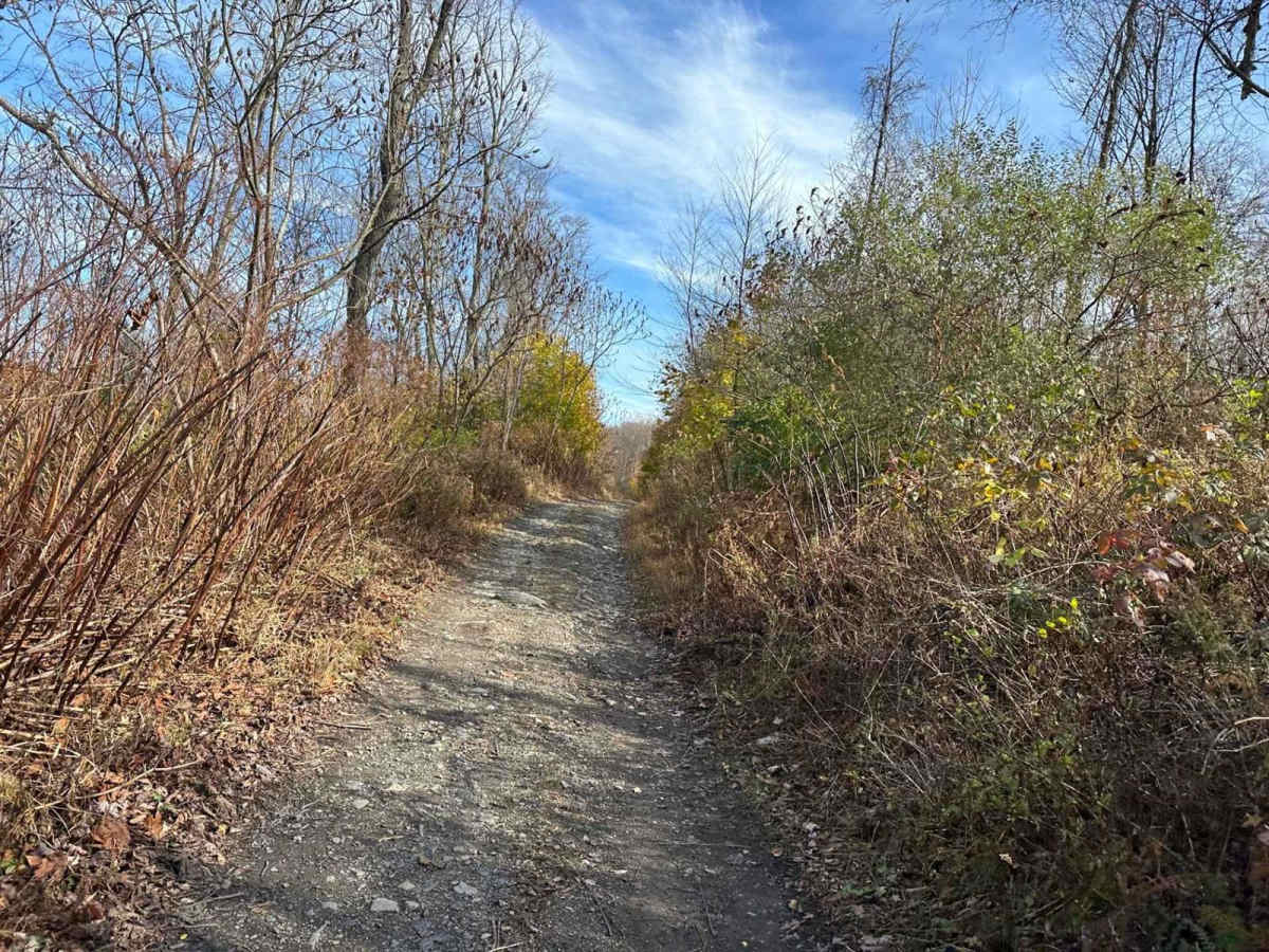Ashland 153 photo 3