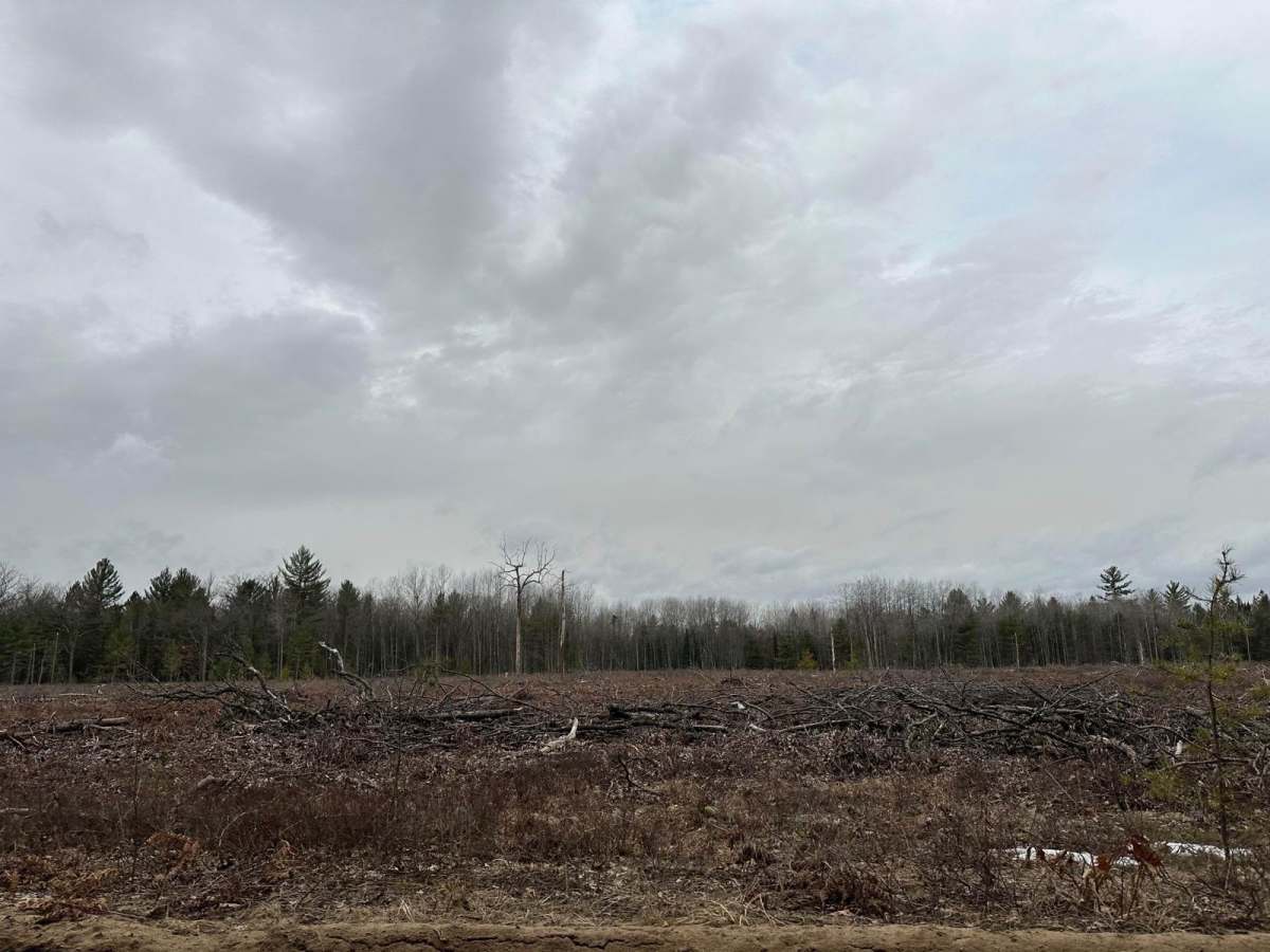 LP 496 photo 6