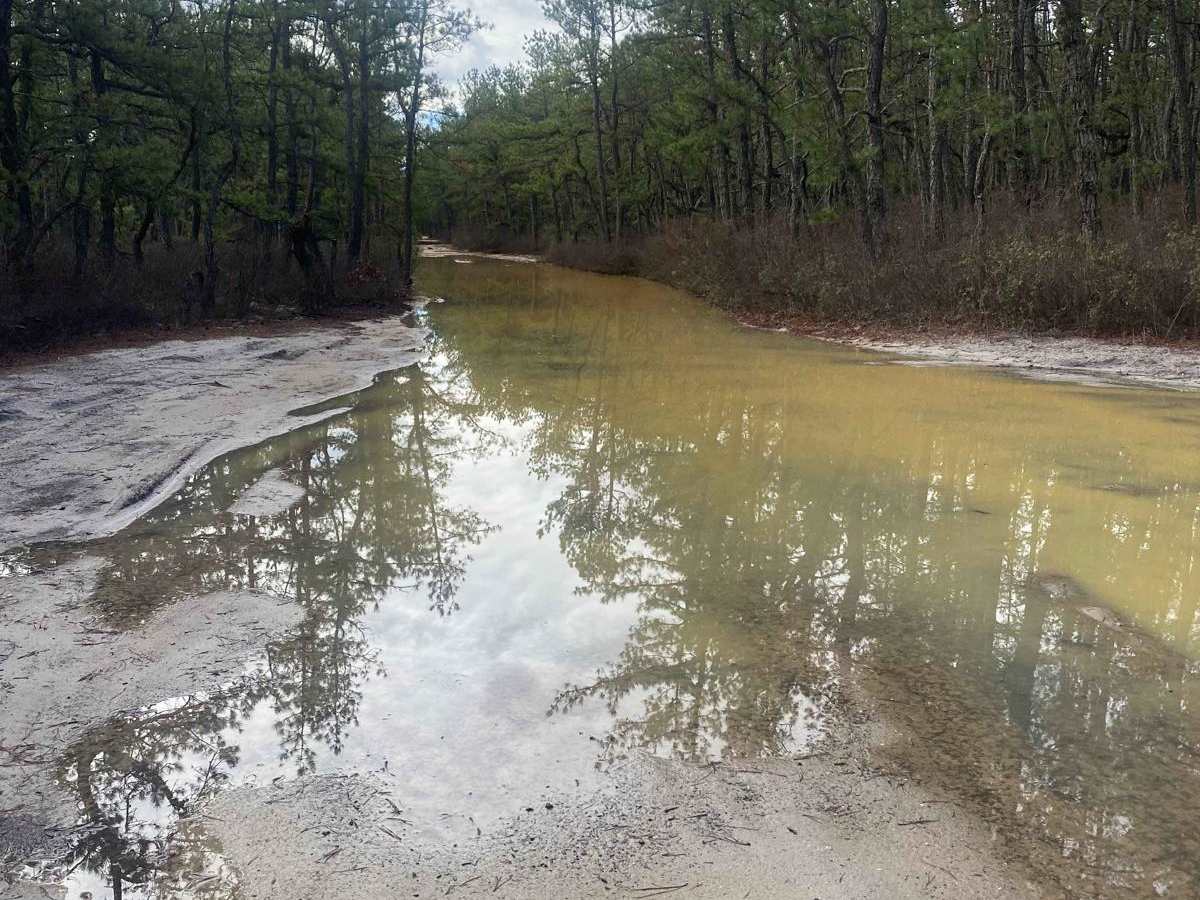 Tuckerton Road Trail photo 4