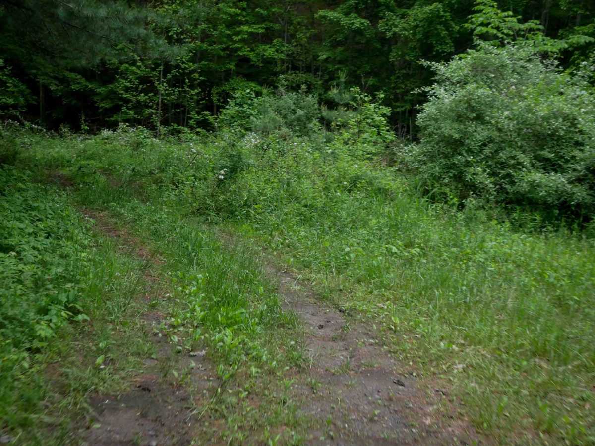 J38 photo 6