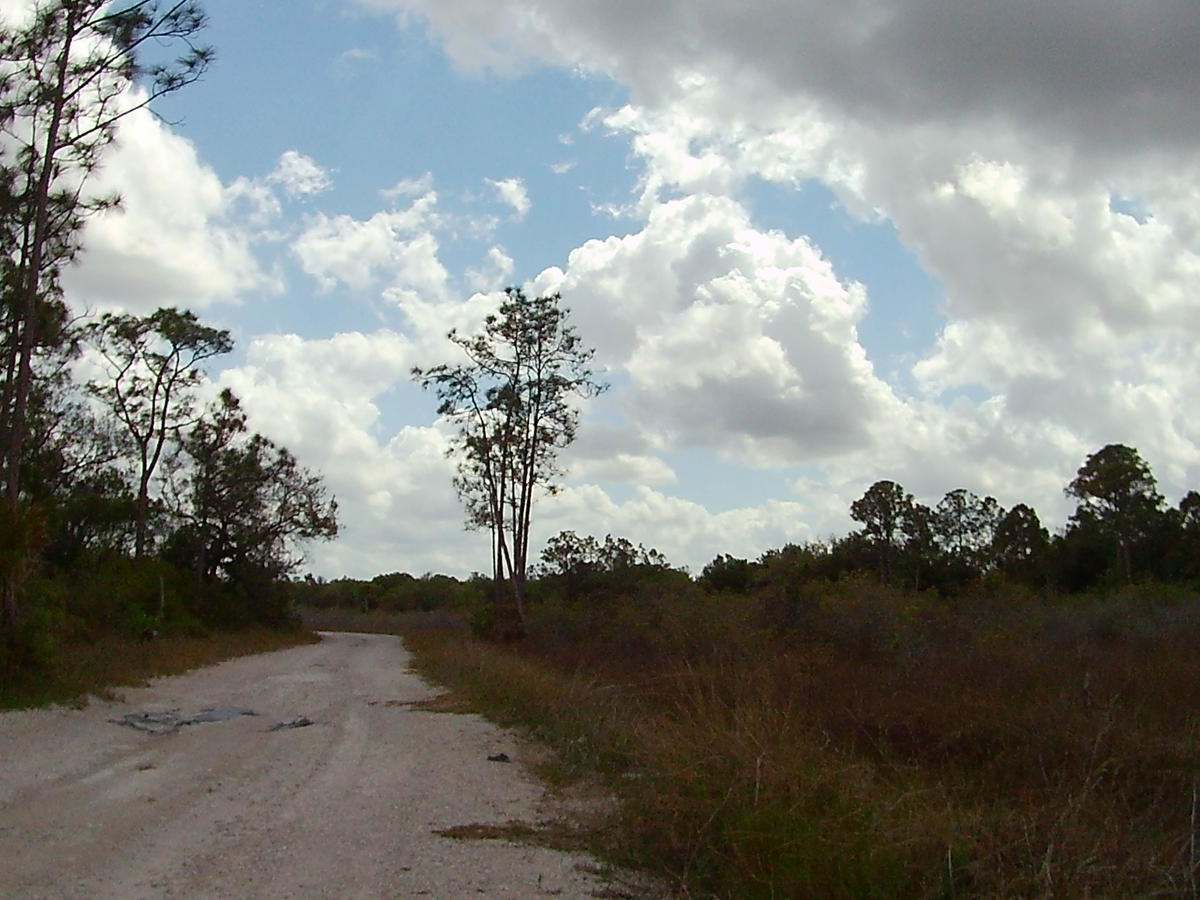 4 Sections Road photo 5