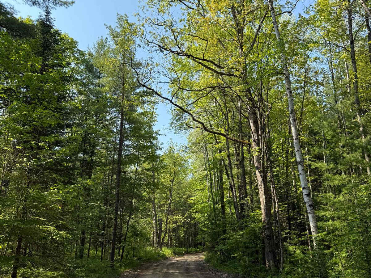Riverbend Trail photo 4