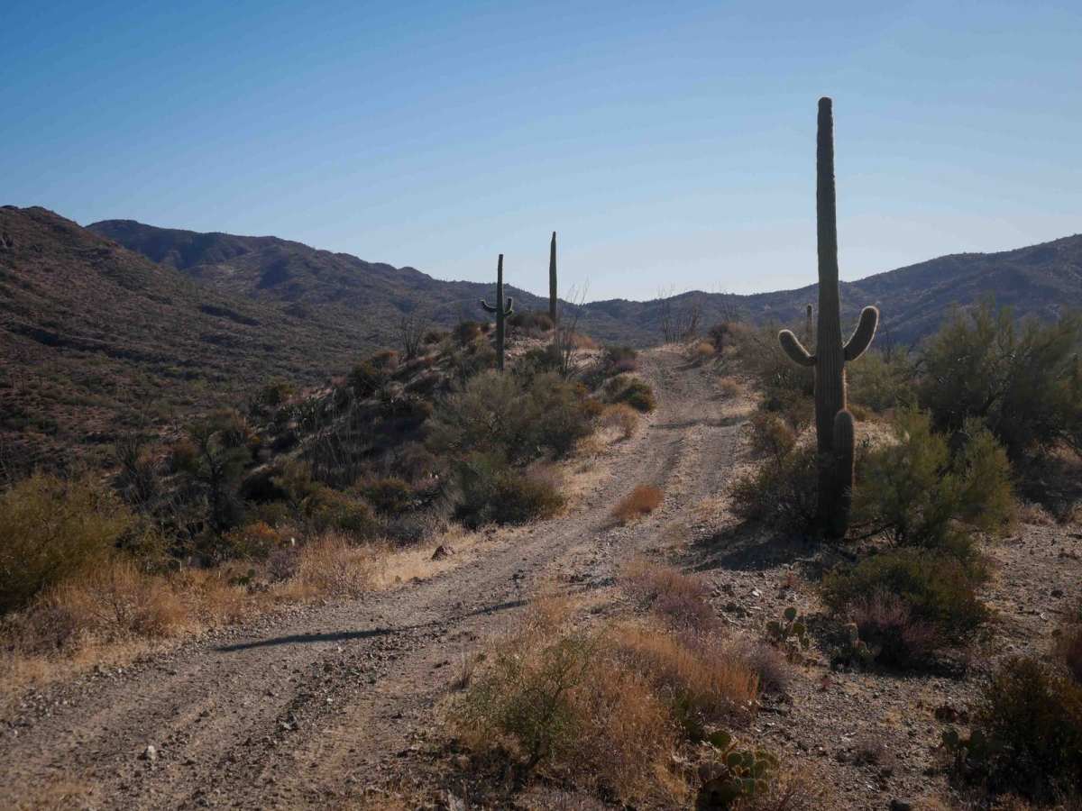 31062 trail photo