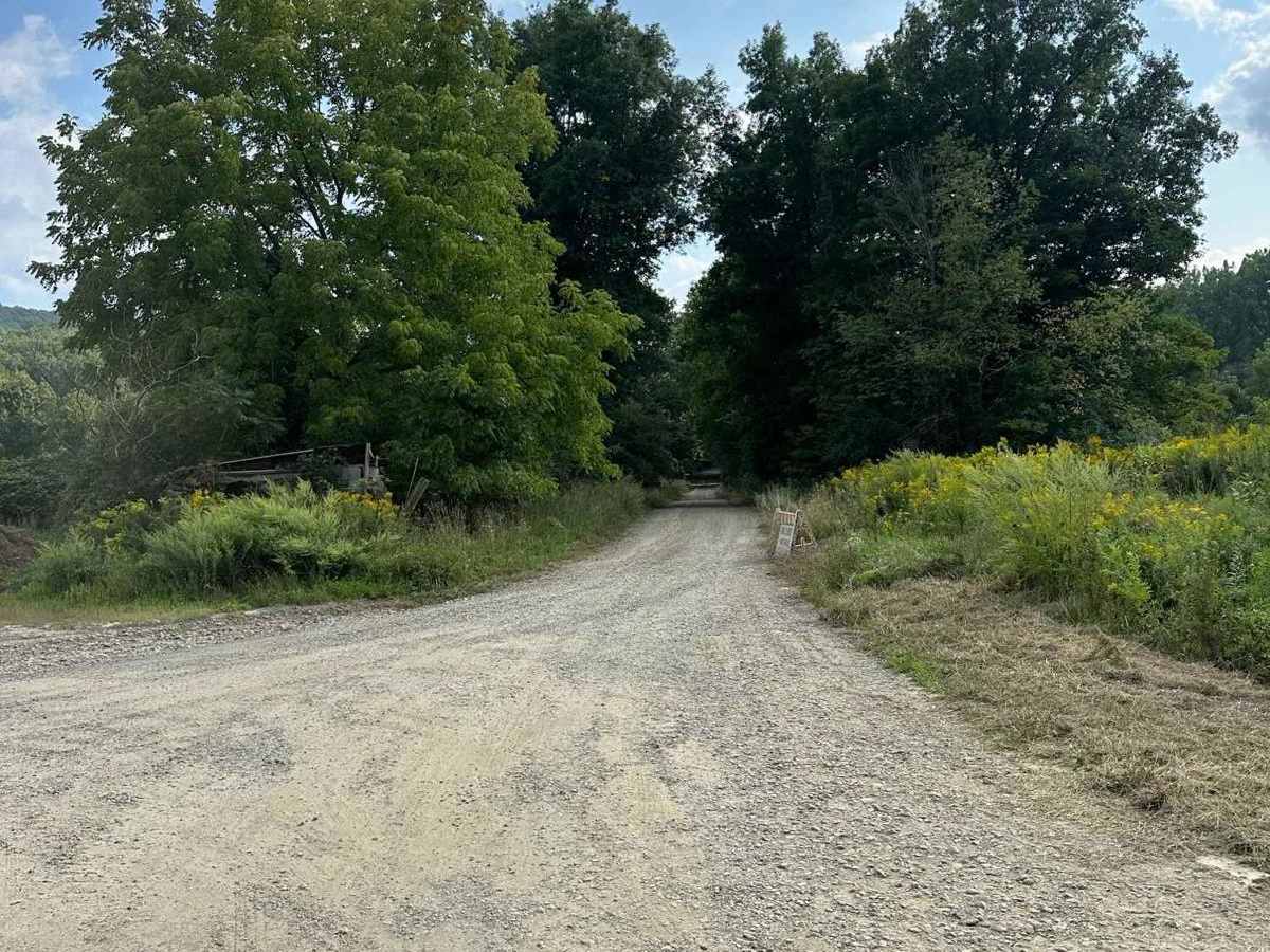 Burke Hill Road trail photo