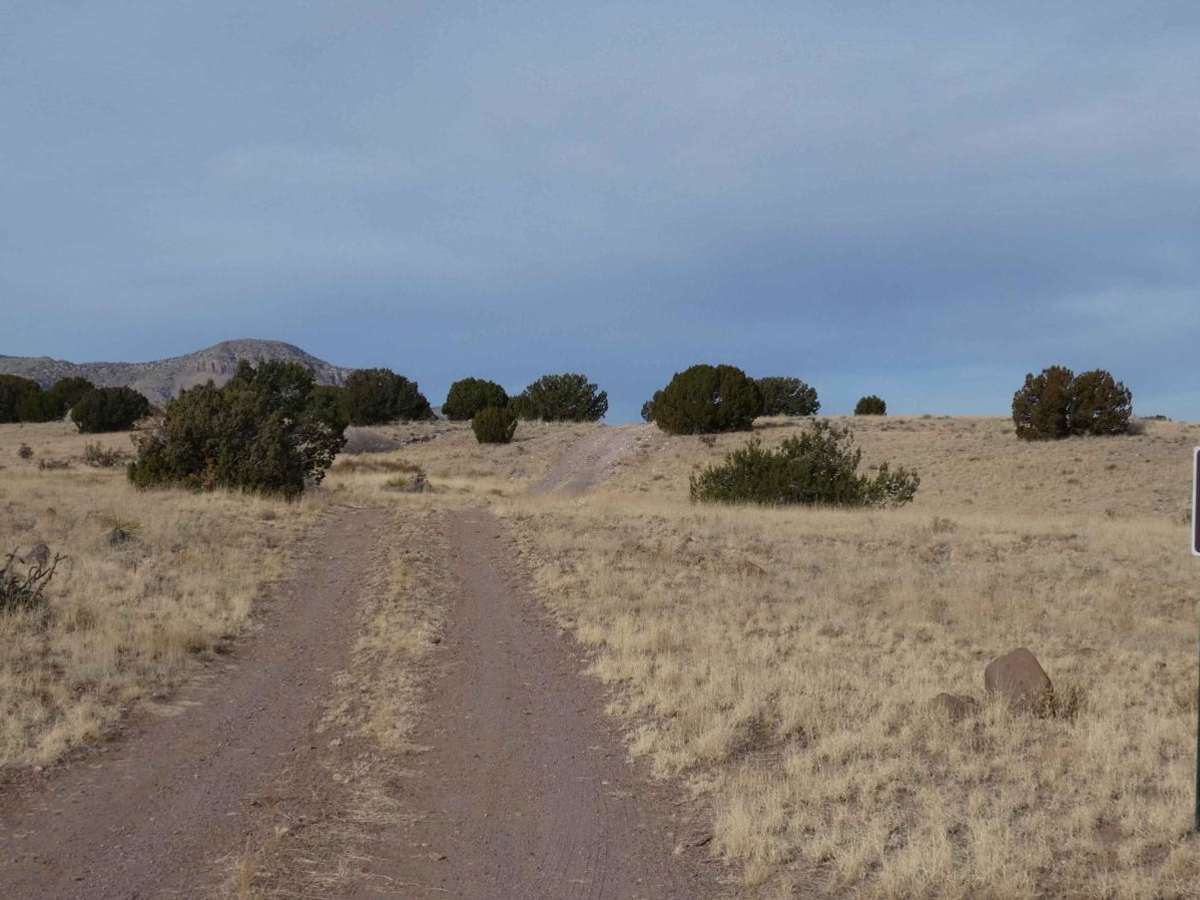 Jack's Valley photo 2