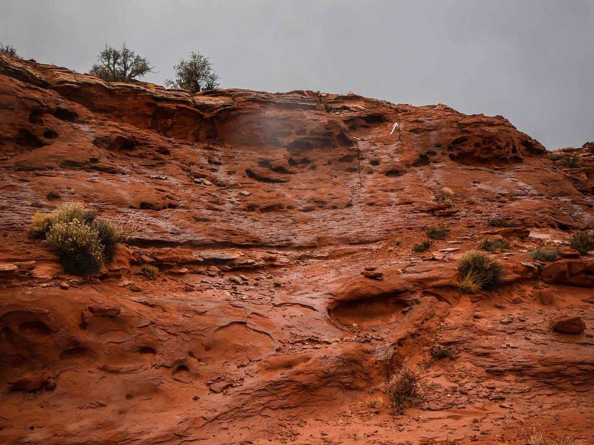 Rock Rim Single Track photo 6