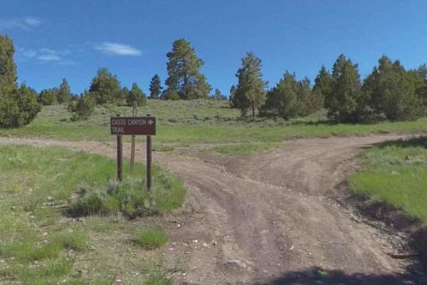Limekiln Road-BLM2350