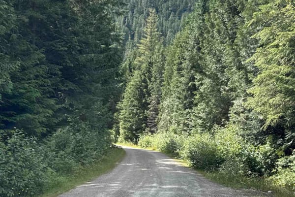 Ratchford Road