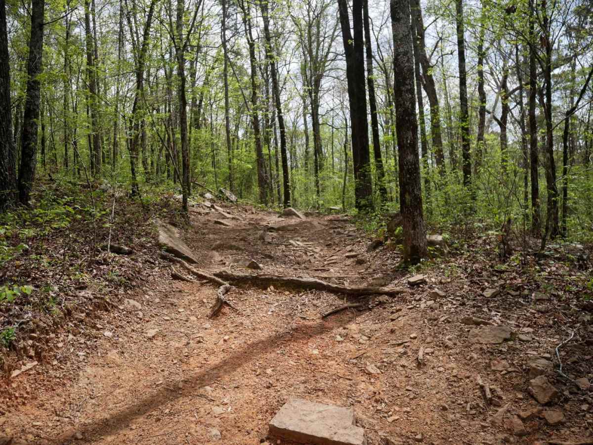 Gap Hollow Spur South 2 photo 3
