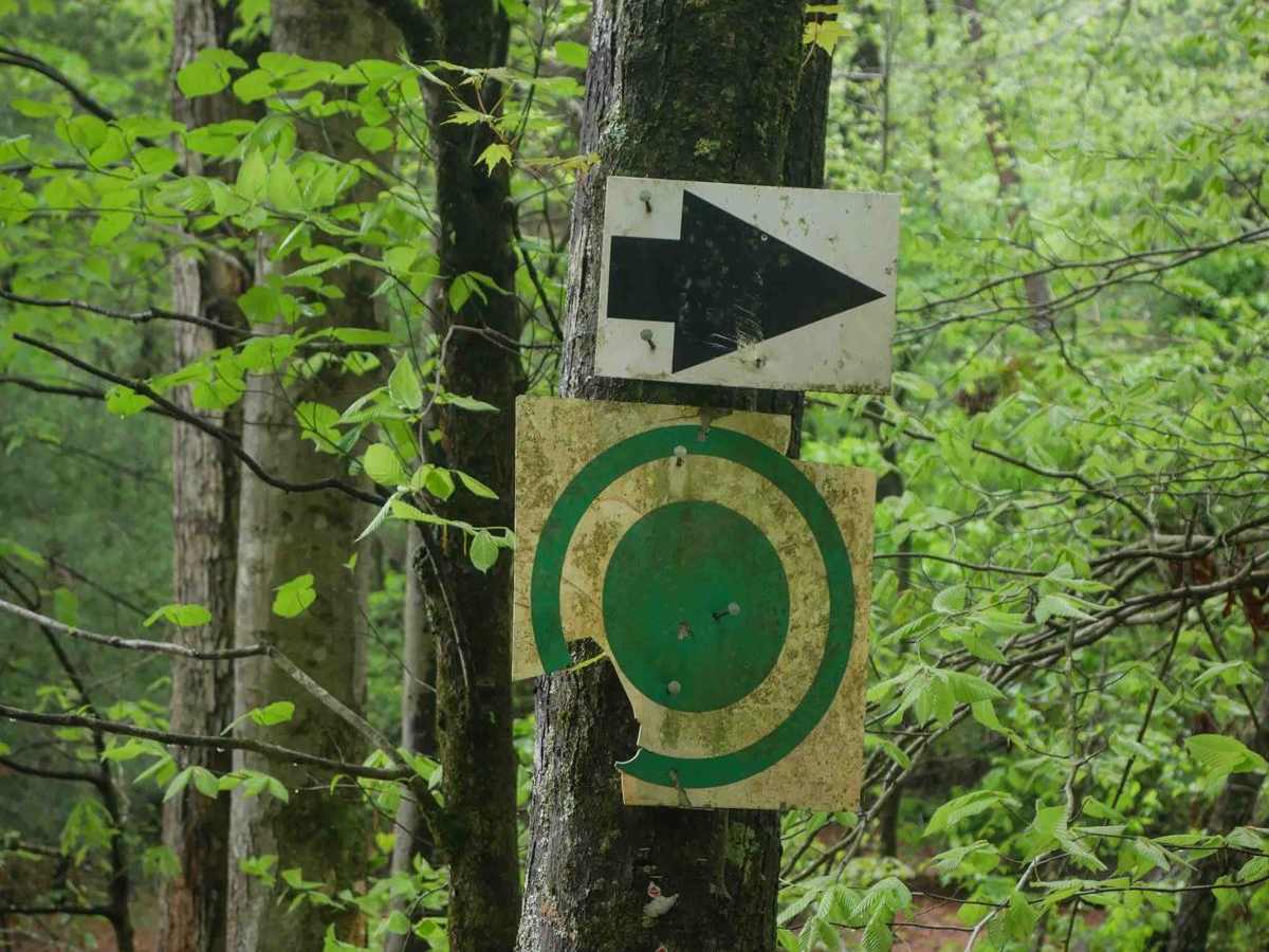 Youth Trail photo 6
