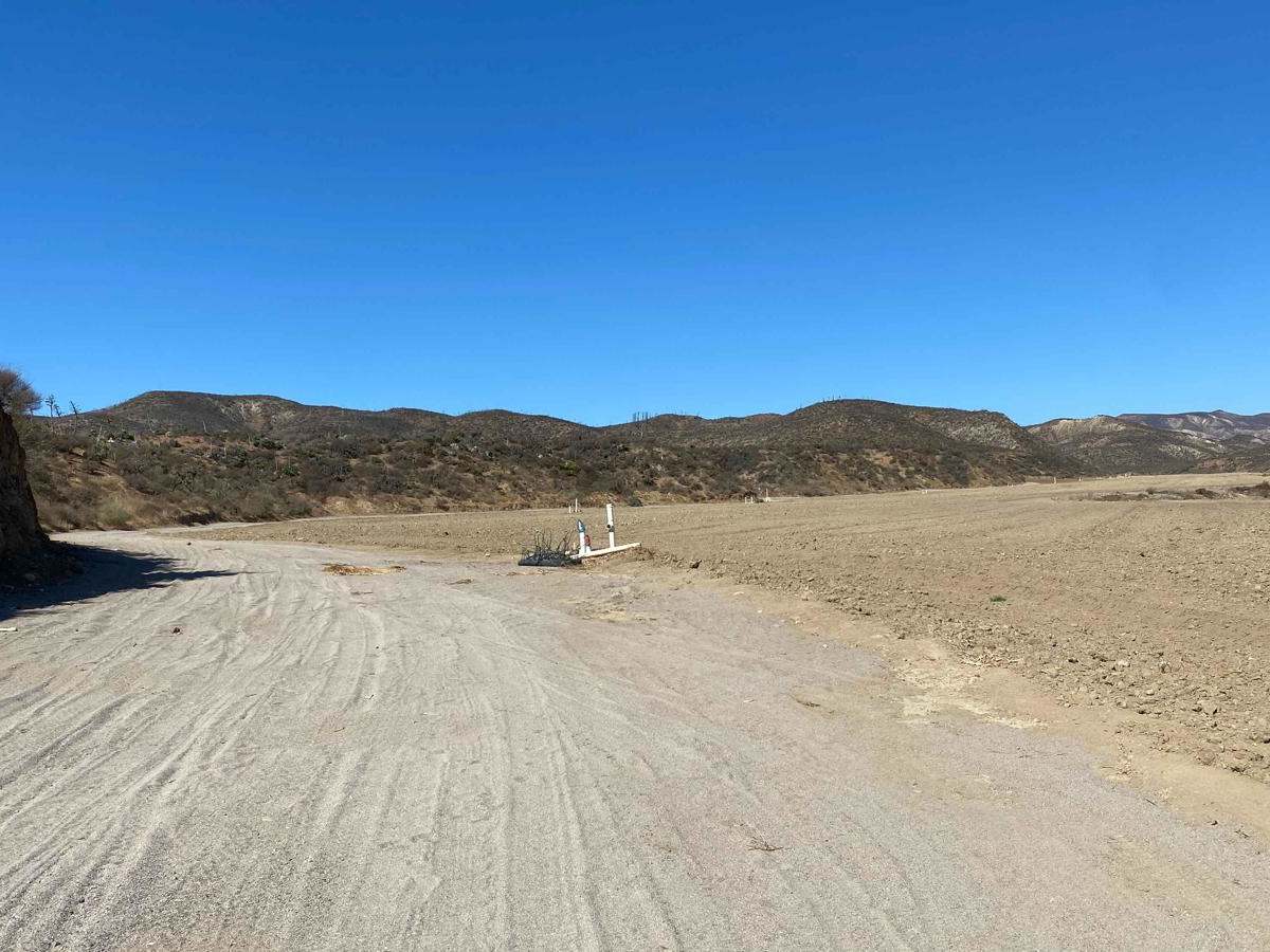 Cerro Pelon photo 4