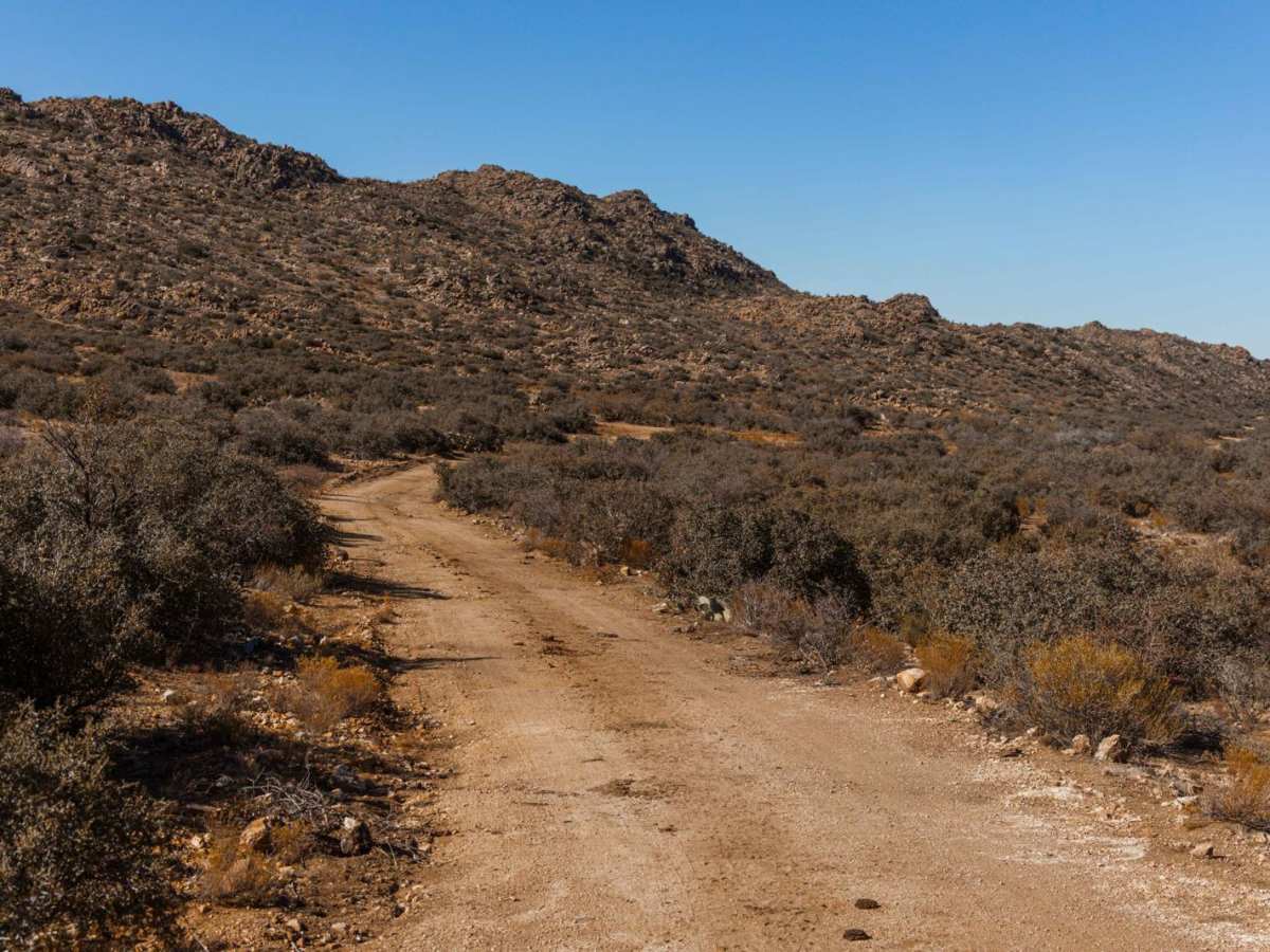 Quail Spring Cutoff photo 5