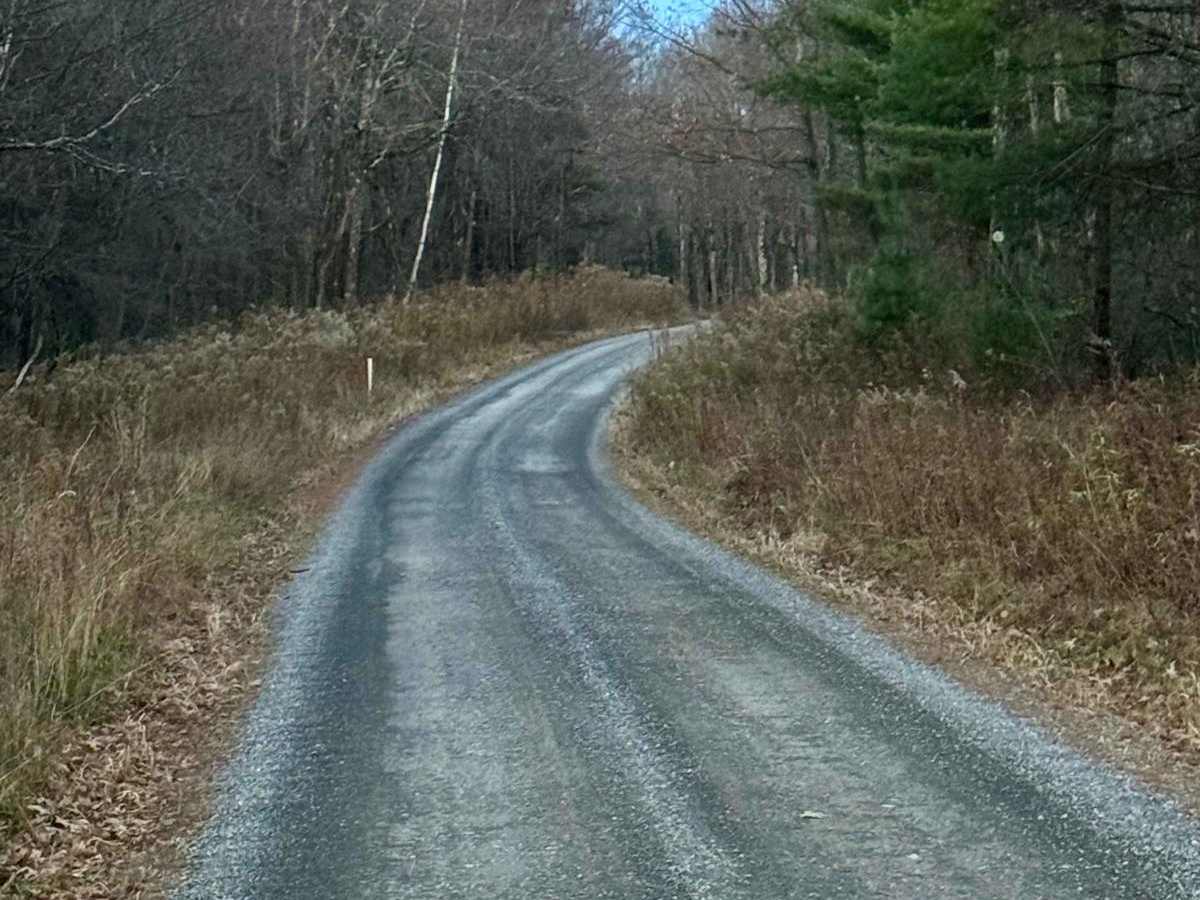 Petes Run Road photo 3