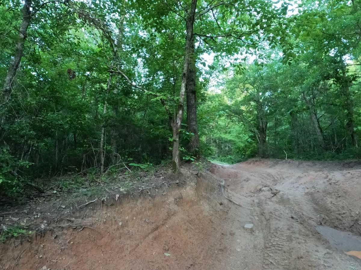 Bill's Flexy Time trail photo