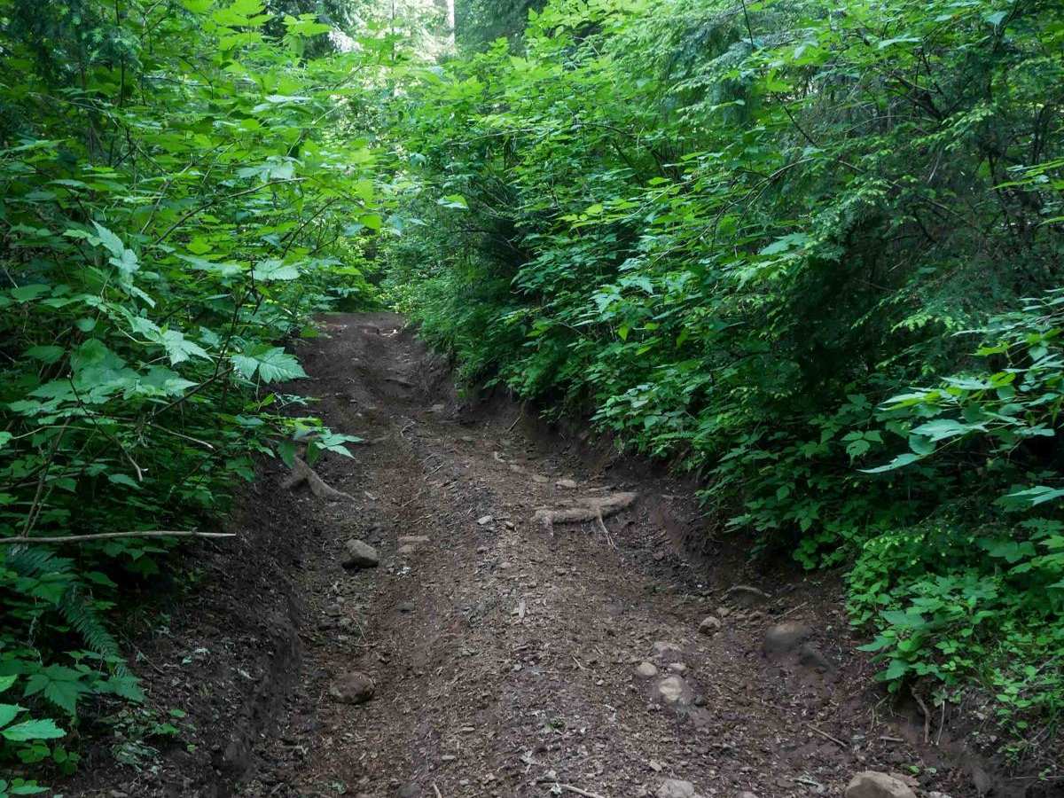 Hunt Hill photo 5