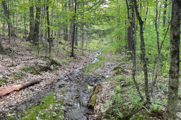 Farnum Road