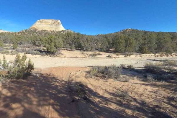 White Tower Loop-BLM102