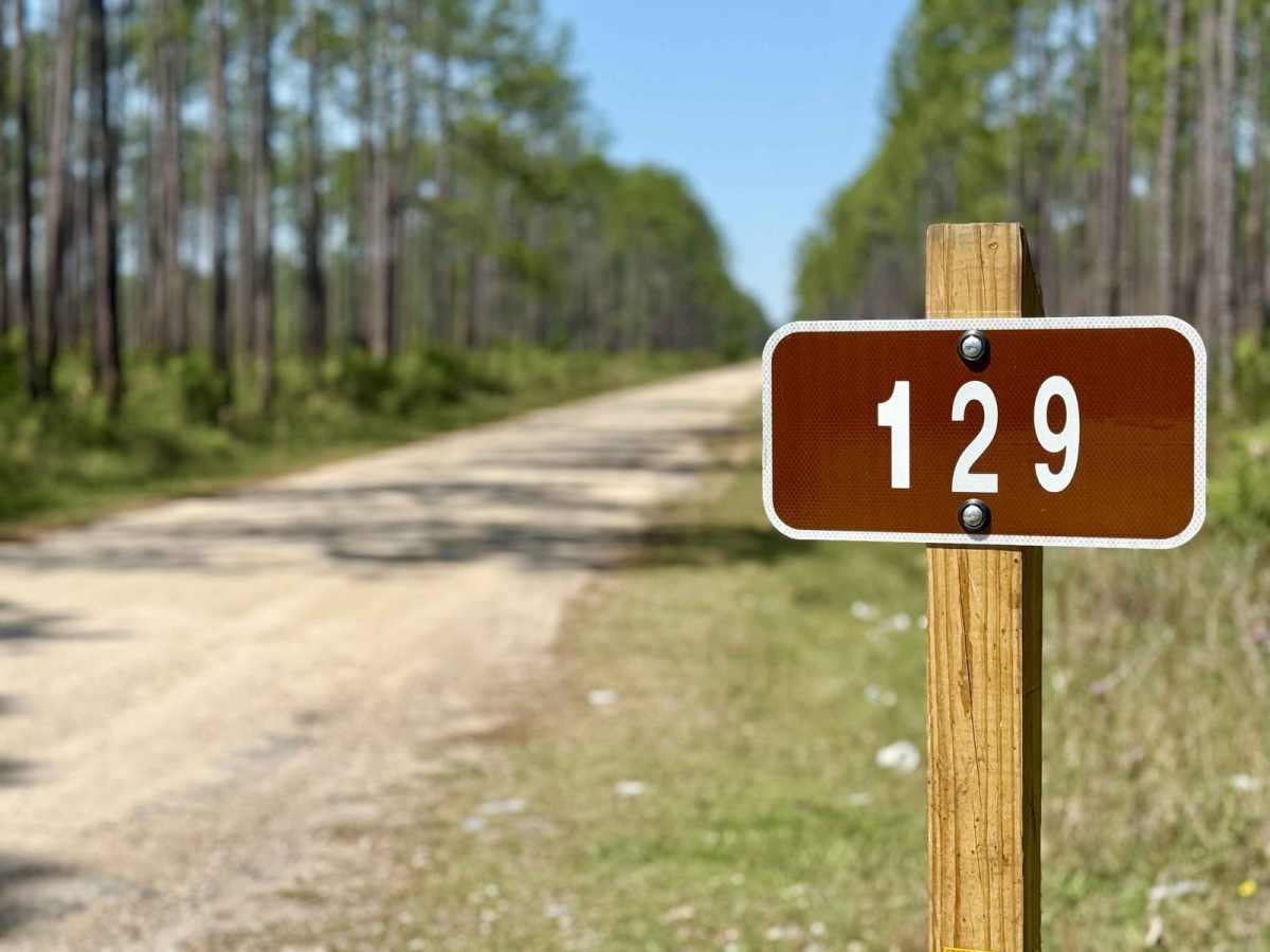 Brickyard Landing - 129 trail photo