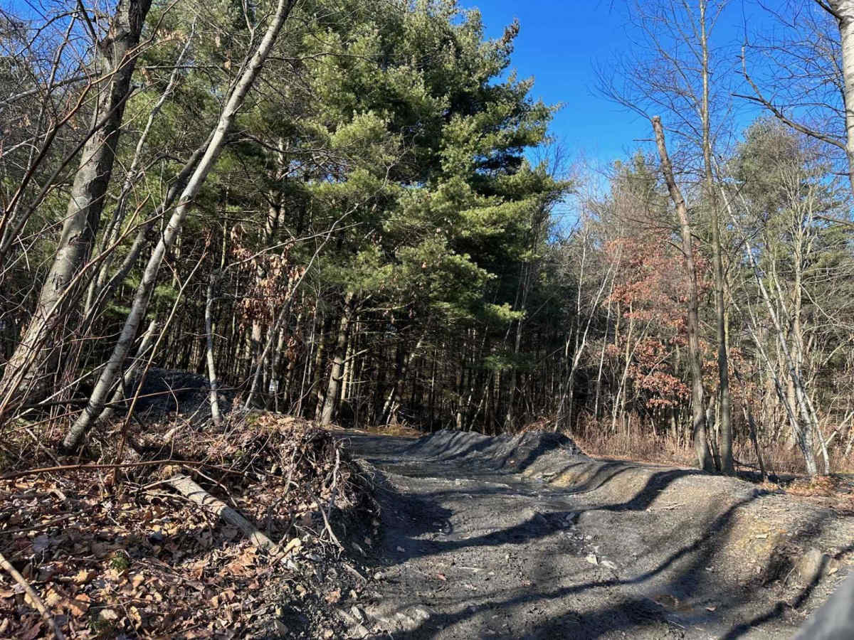 Locust Gap 51 photo 6