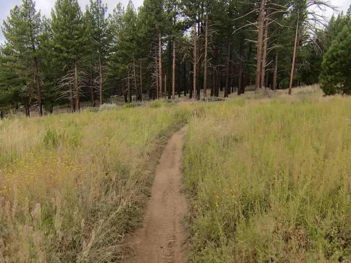 Campground Connector photo 4