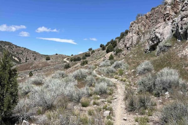 Foothills
