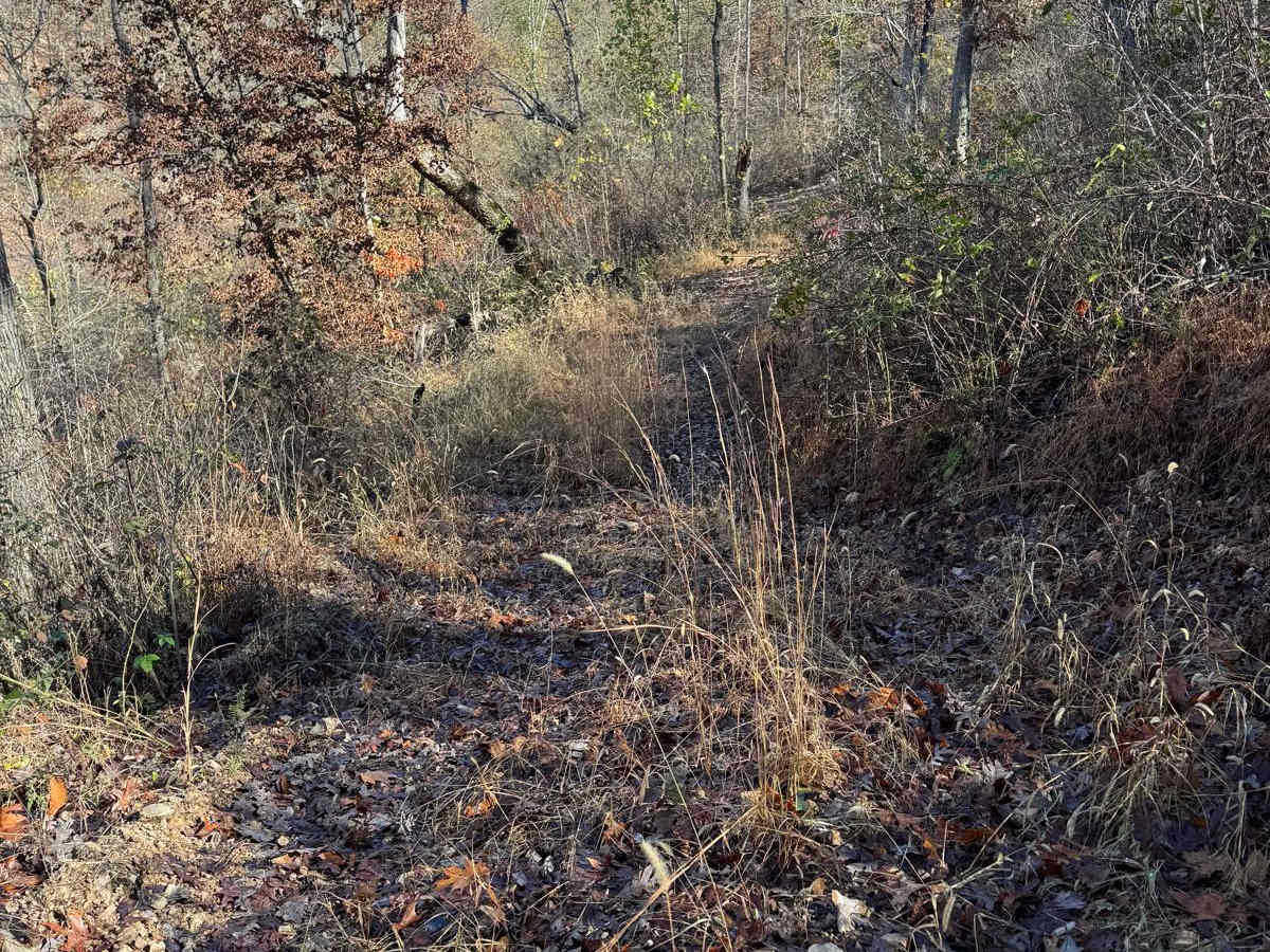 Green 128 photo 3