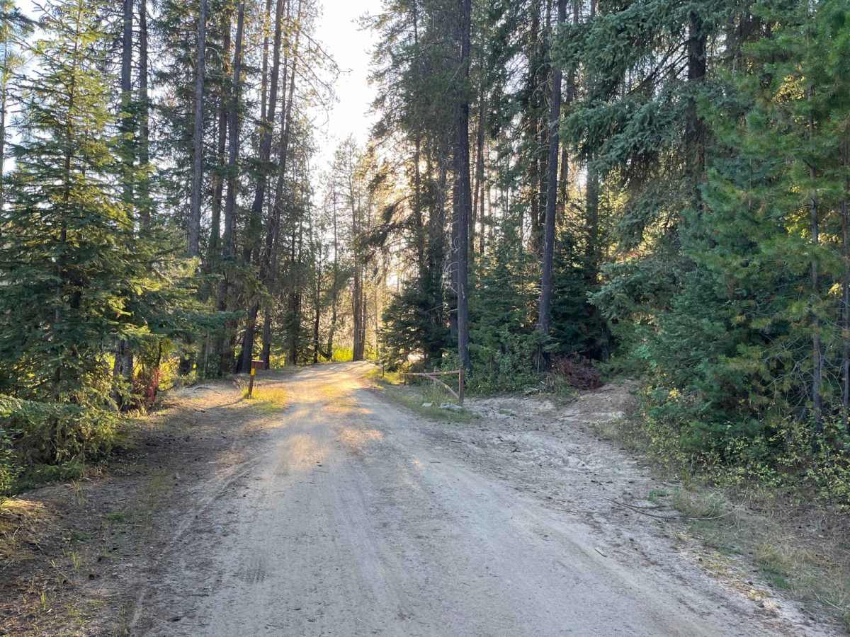 Moose Creek Campground Cutoff trail photo