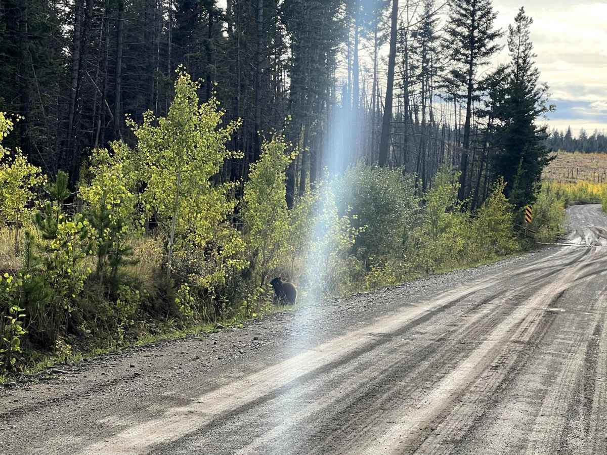 Lake Helena Road photo 2