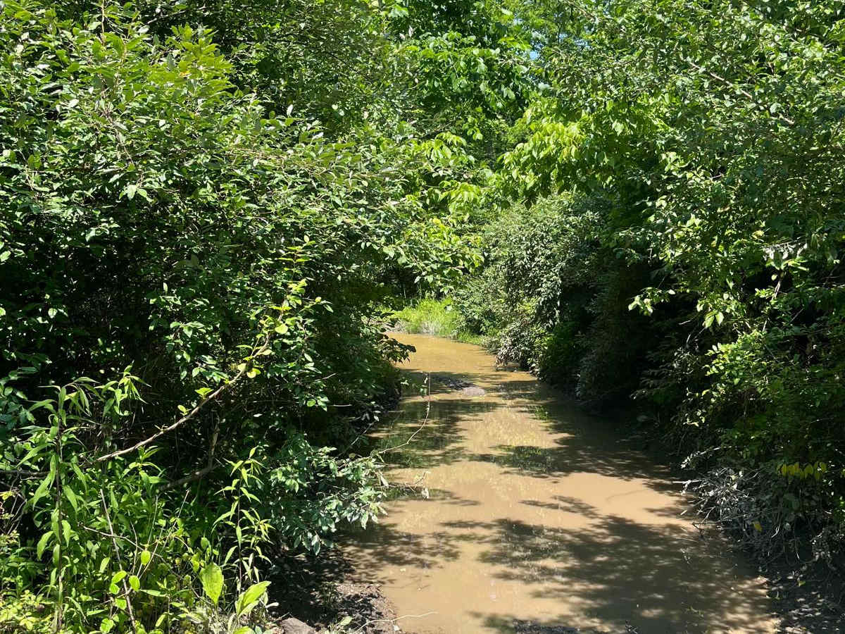 Trail 8 photo 5