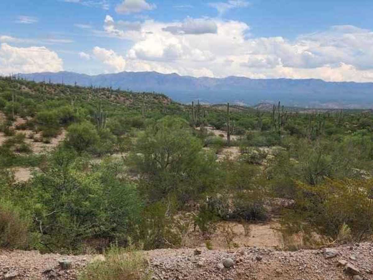 Continental Copper Access photo 3