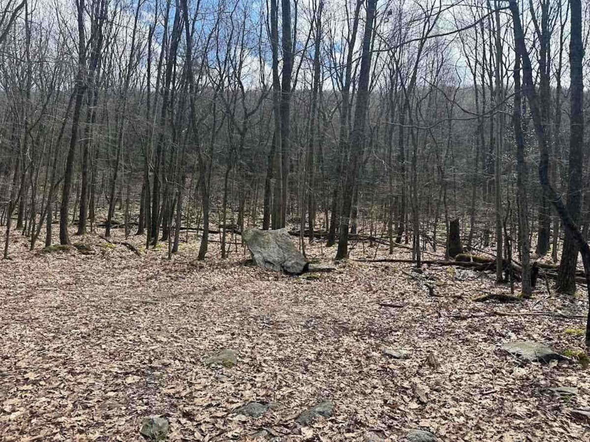 Ashland 45 trail photo