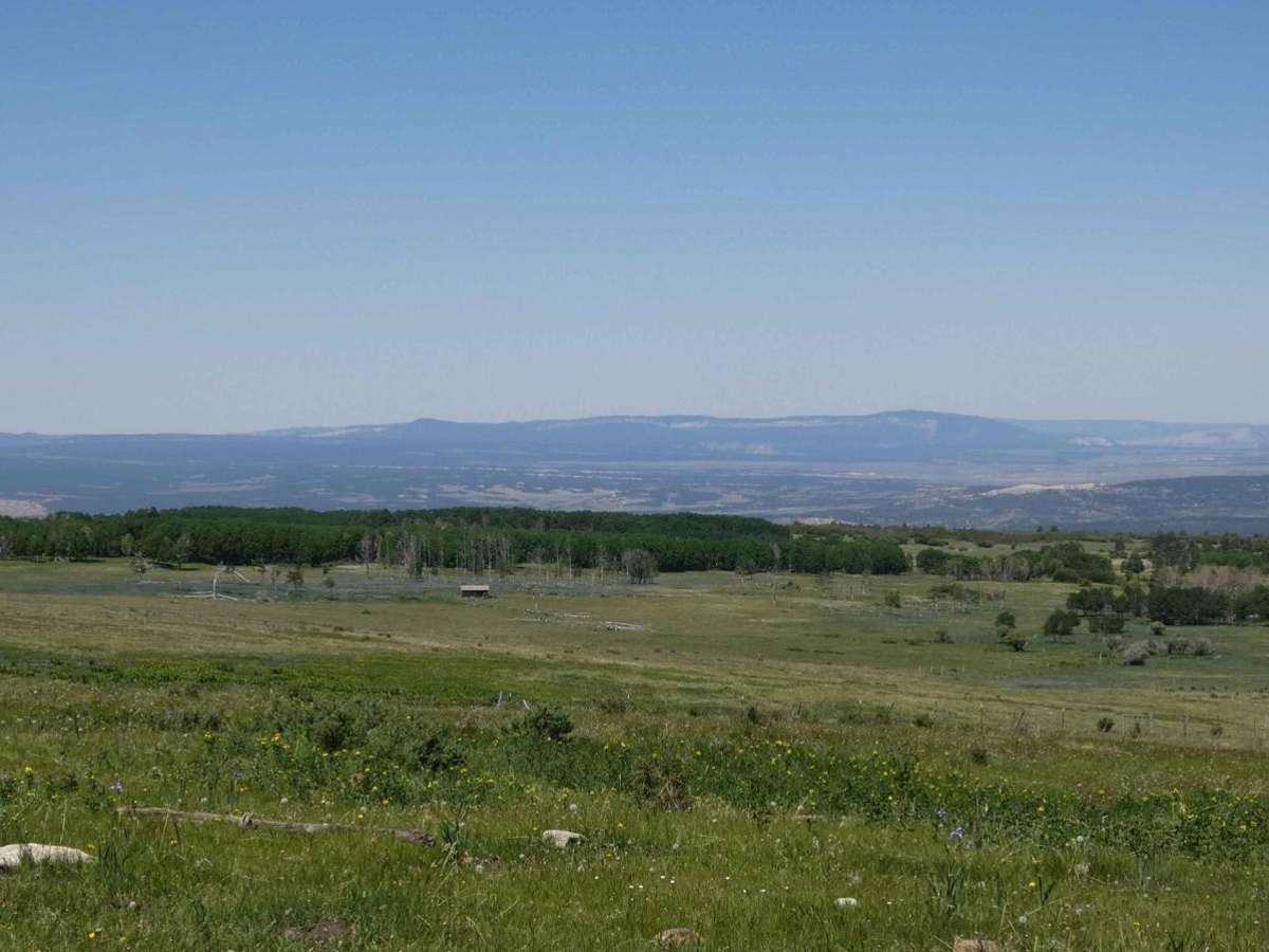 Green Camp Canyon trail photo