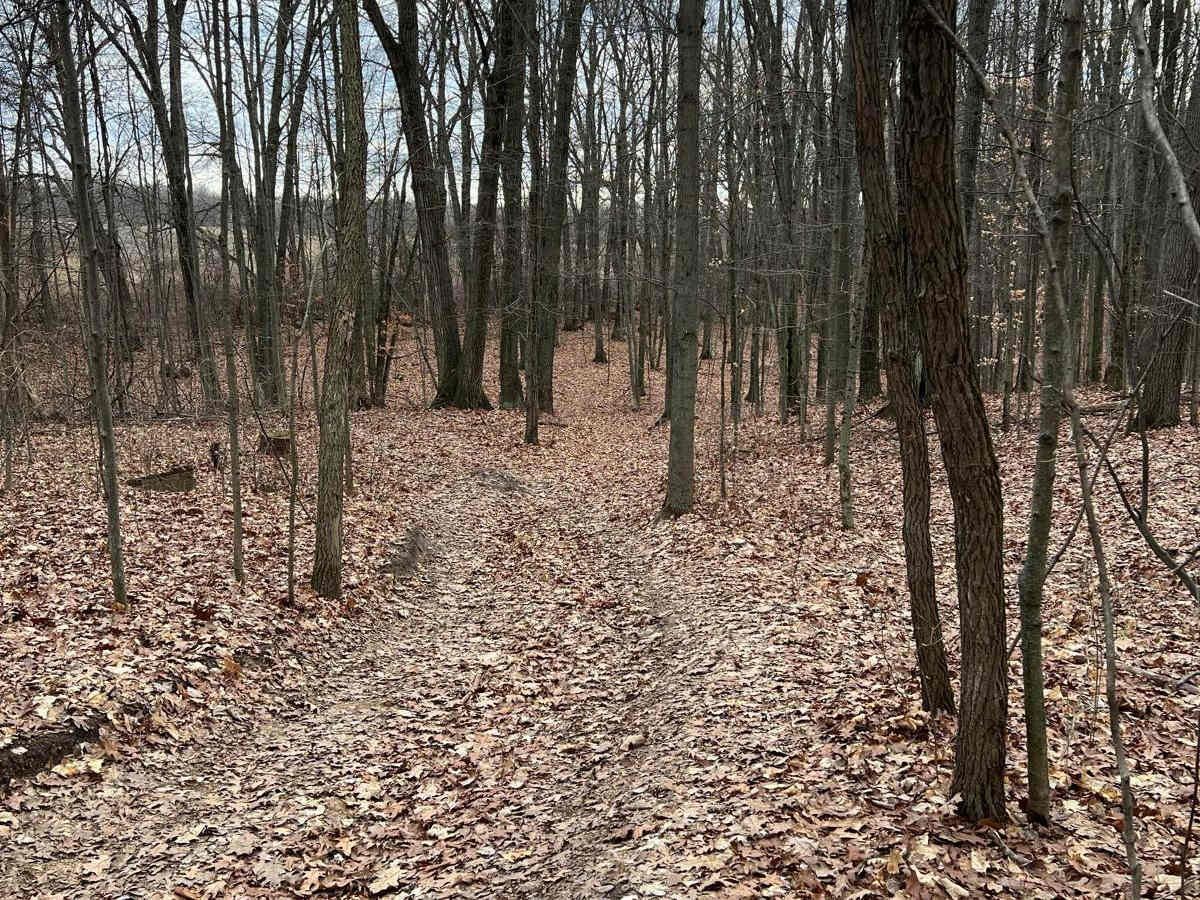 Flexy Ditch (NFS 5187) photo 4