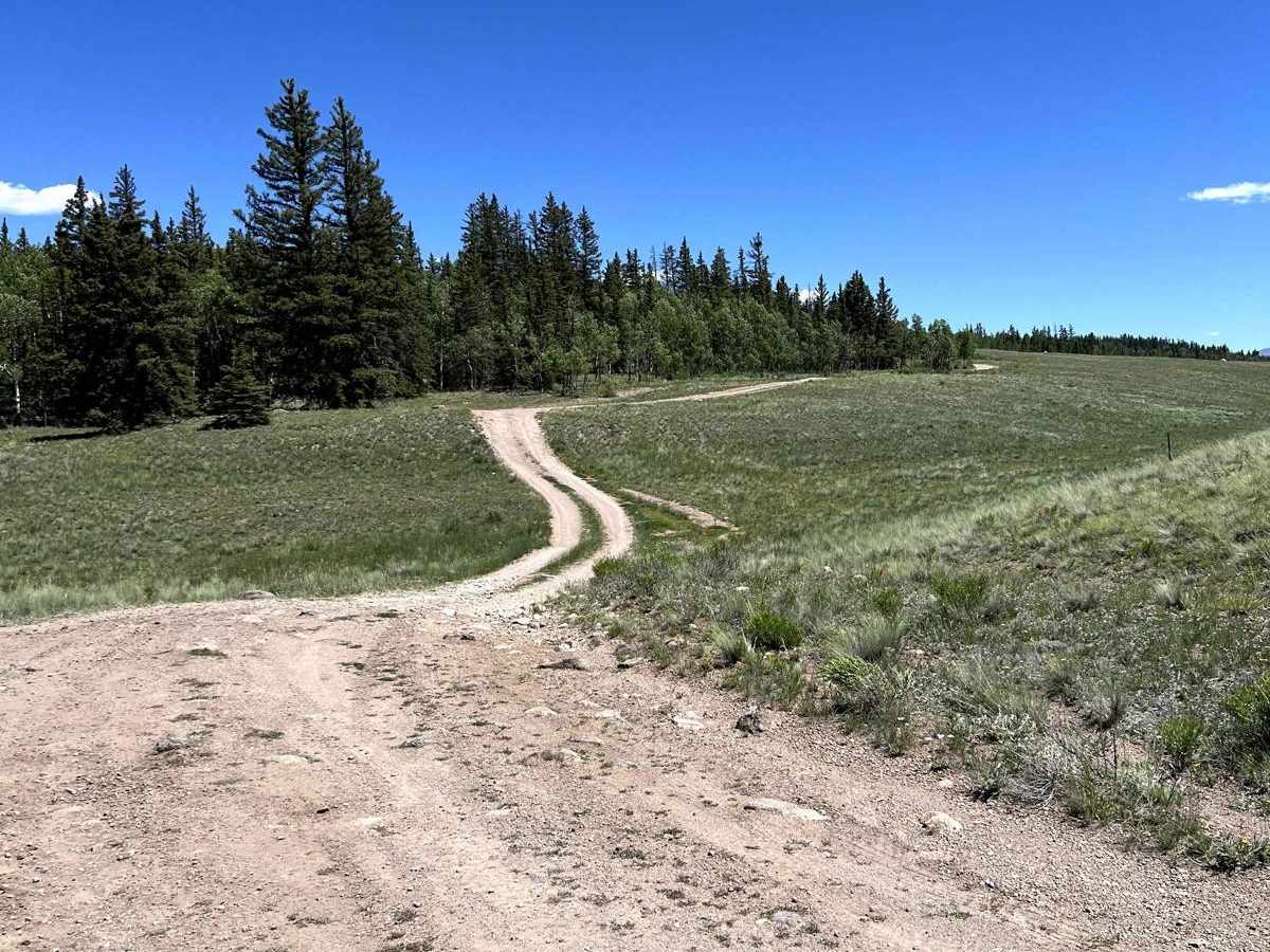 FR 556 - Clear Creek Ridge photo 4