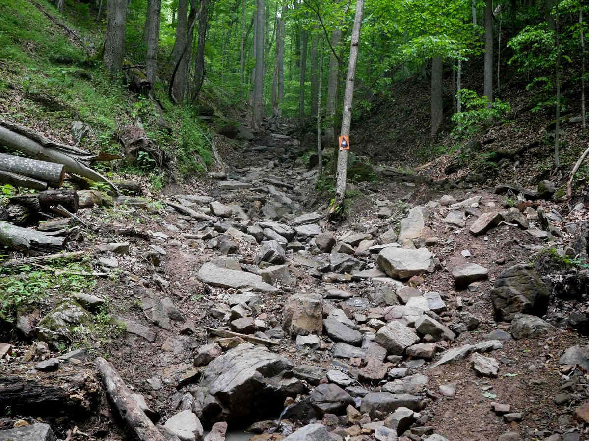 Puke Creek photo 4