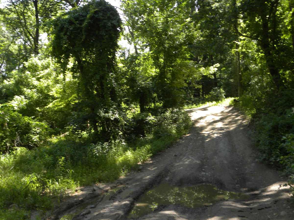 Trail 2E(intermediate) photo 4