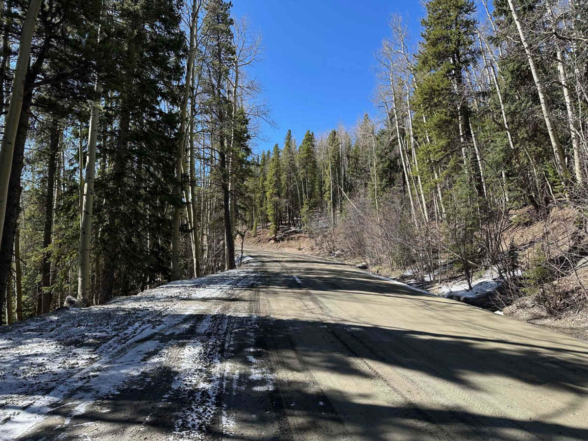 Little Bear Creek Road - FS 151 photo 5