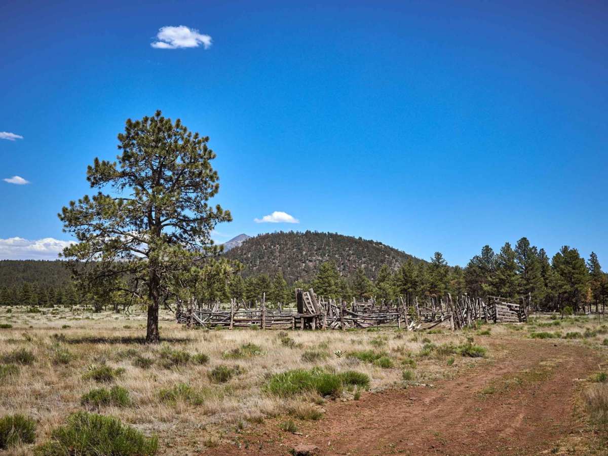 144 Lower Section photo 6