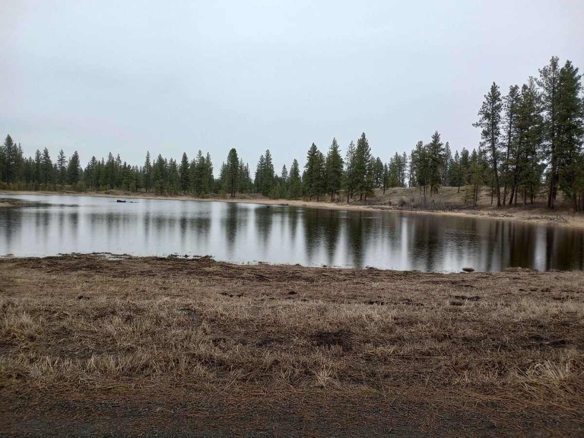 Turnbull's Pine Creek Auto Route trail photo