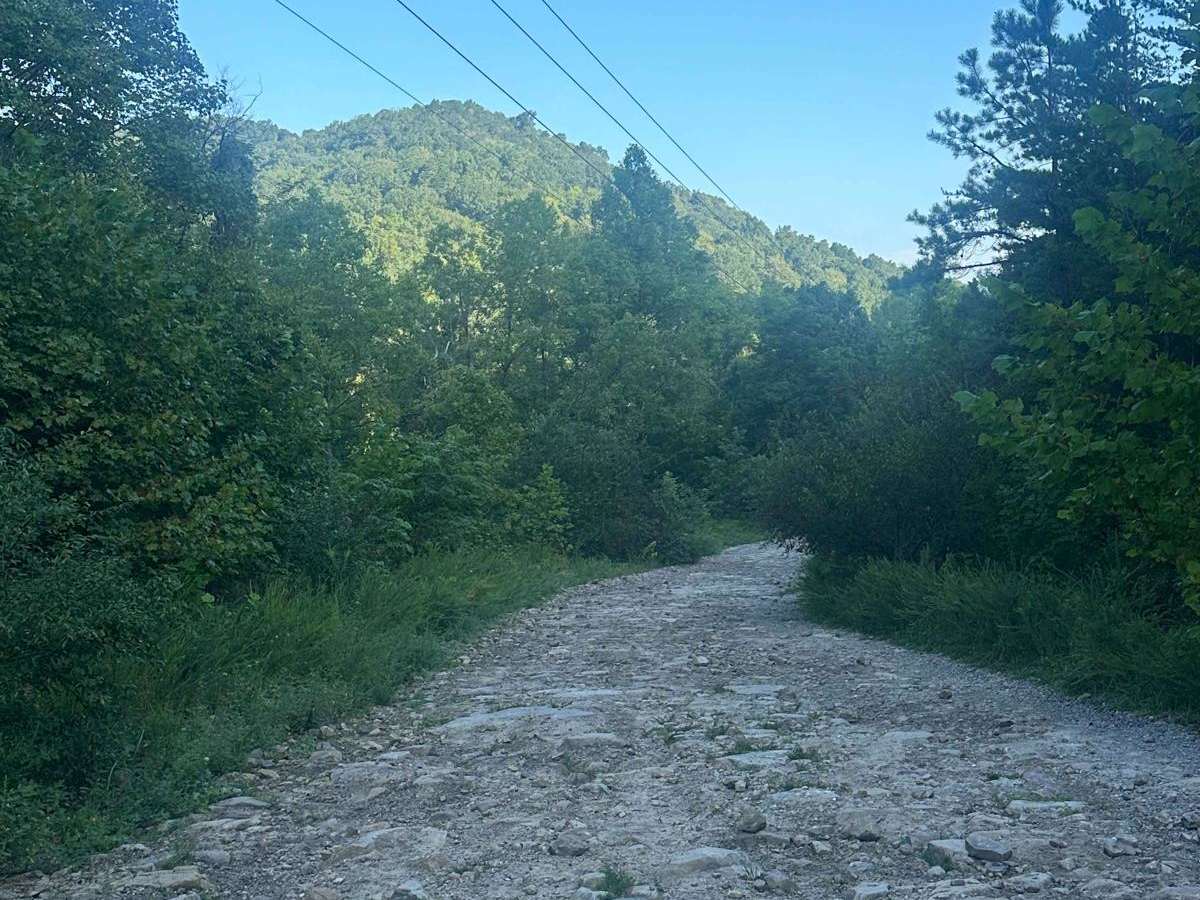 Gabe's Branch Road photo 3