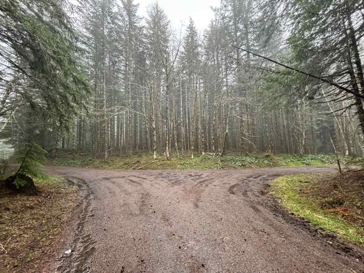 Bald Mountain photo 5