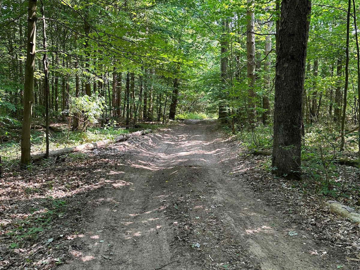 Trail 5389 photo 4