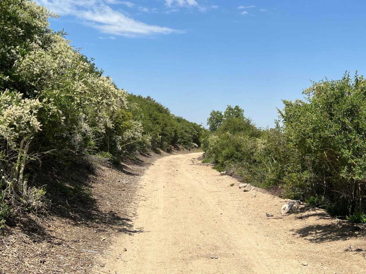 Sawpit Connector photo 2