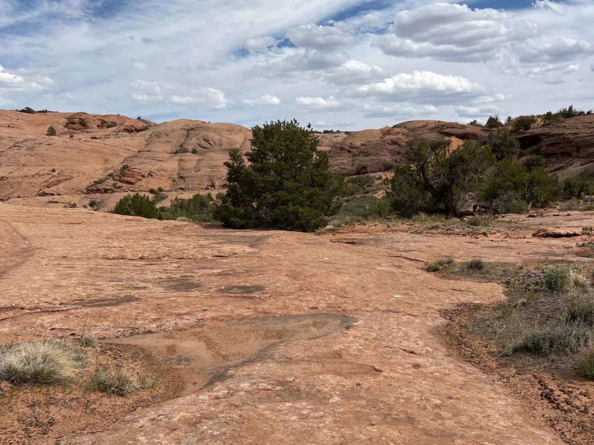 Slickrock 4 photo 6