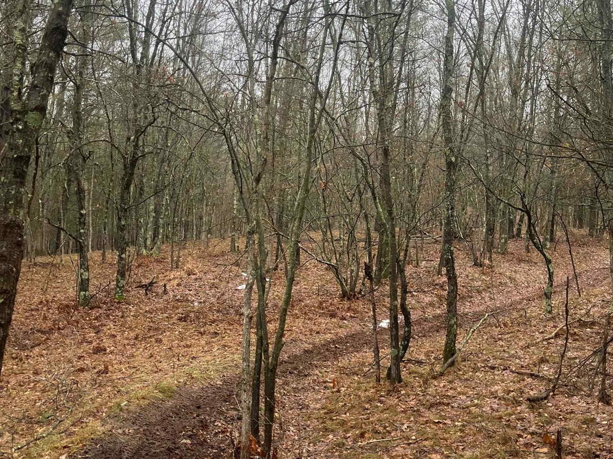 Horseshoe Motorcycle Trail Part 4 photo 2
