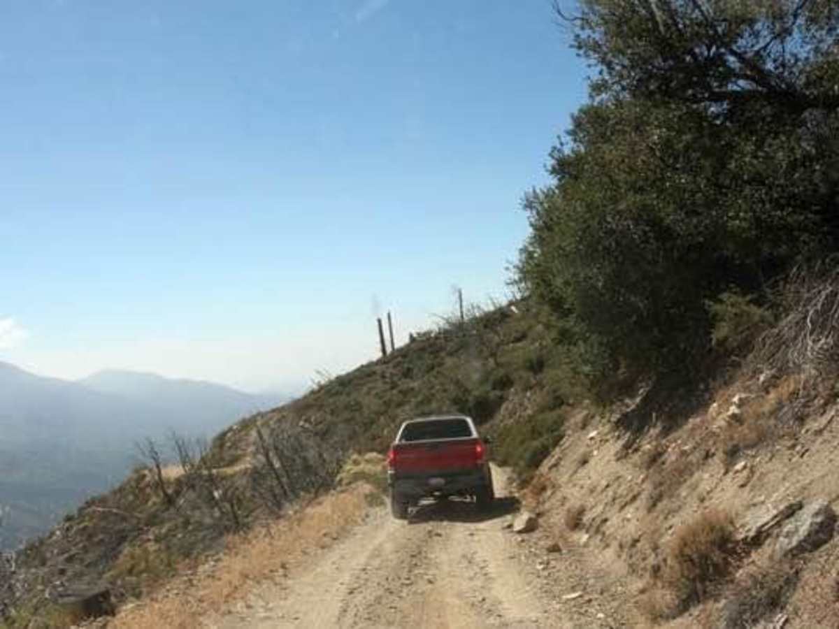 Radford Truck Trail - FS 2N06 photo 6