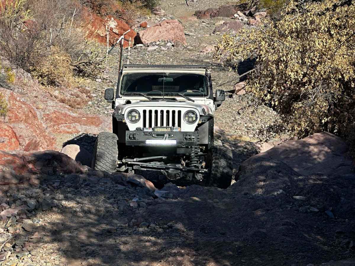 Ruby Wash photo 3