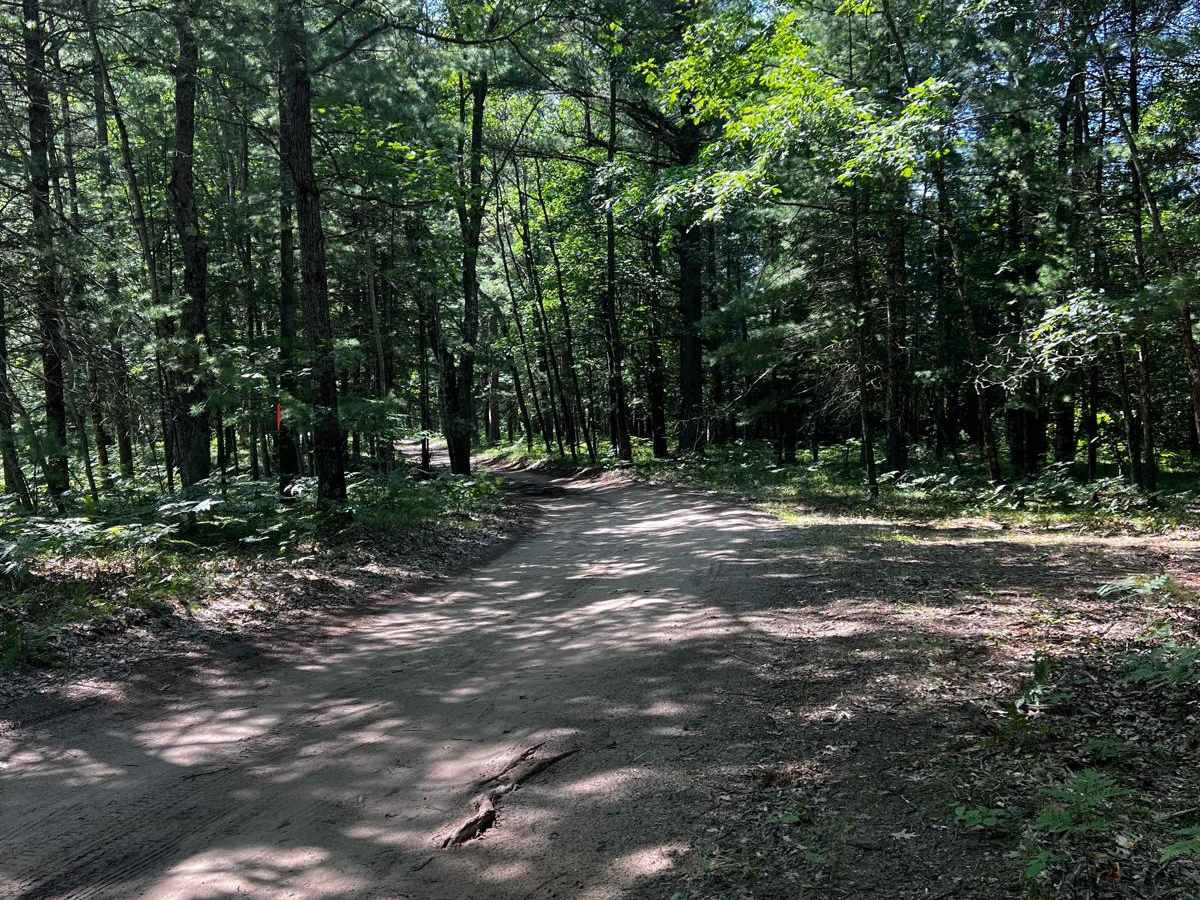 River Camp Loop Trail photo 3