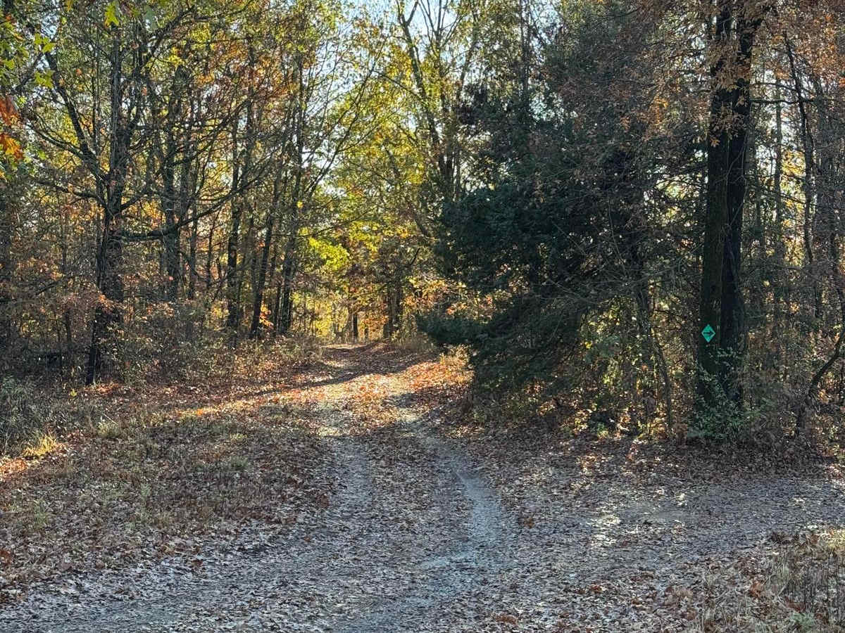 Green 112 trail photo
