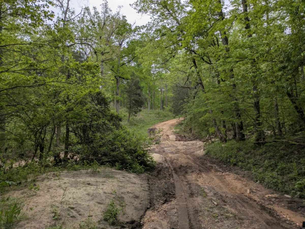 Sandy Flats trail photo